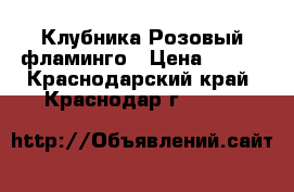 Клубника Розовый фламинго › Цена ­ 100 - Краснодарский край, Краснодар г.  »    